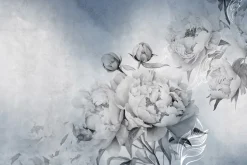 Fototapeta: Kwiaty piwonii na niebieskim tle