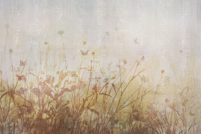 Fototapeta: Kwiaty polne i motyle na tle łąki retro ilustracja