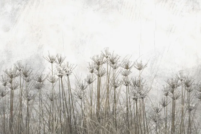 Fototapeta: Kwiaty polne rośliny w stylu industrialnym loft
