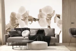 Fototapeta: Kwiaty storczyka w kolorach sepii