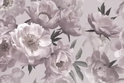 Fototapeta: Kwieciste tło z piwoniami