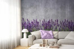 Fototapeta: Kwitnąca lawenda na betonowym tle