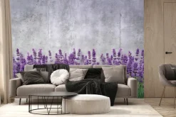 Fototapeta: Kwitnąca lawenda na betonowym tle