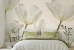 Fototapeta: Kwitnące jasne kwiaty tulipanów