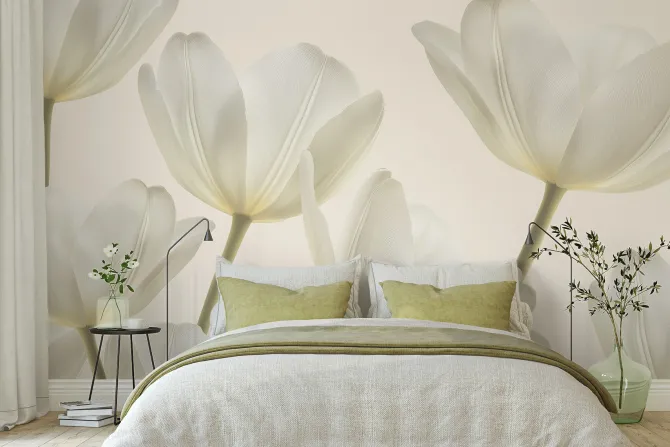 Fototapeta: Kwitnące jasne kwiaty tulipanów