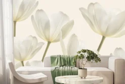 Fototapeta: Kwitnące jasne kwiaty tulipanów
