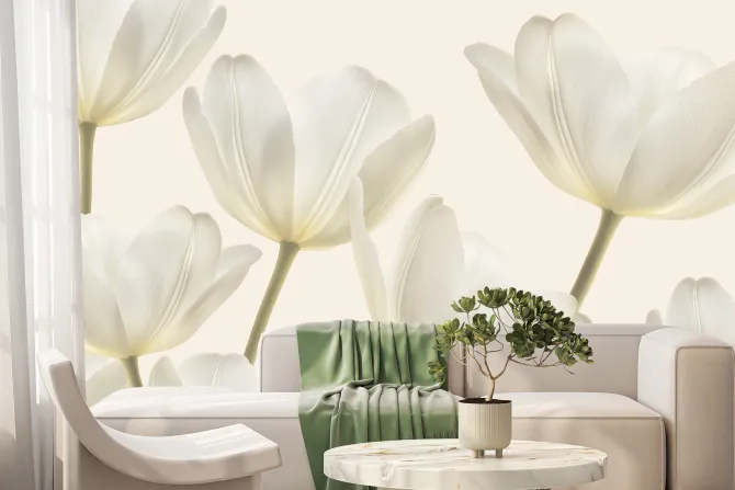 Fototapeta: Kwitnące jasne kwiaty tulipanów