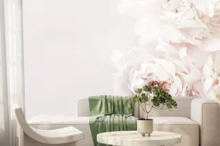 Fototapeta: Kwitnące pastelowe kwiaty piwonii