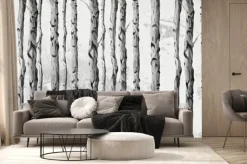 Fototapeta: Las brzozowy drzewa w czerni i bieli