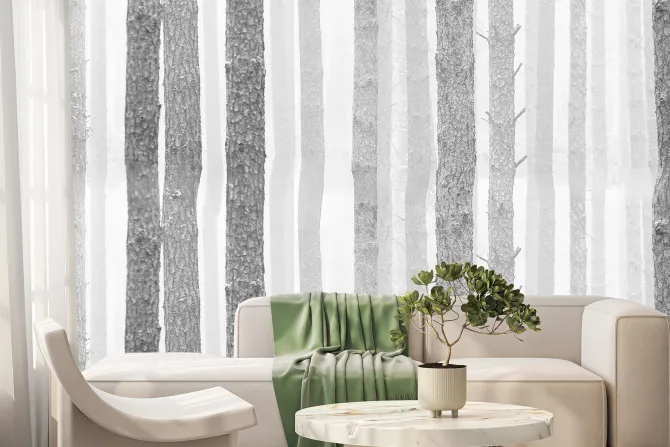 Fototapeta: Las brzozowy w szarych kolorach