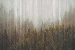 Fototapeta: Las iglasty na drewnianych deskach