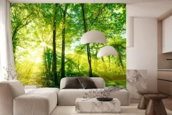 Fototapeta: Las skąpany w złotawym słońcu