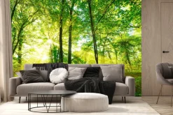 Fototapeta: Las skąpany w złotawym słońcu