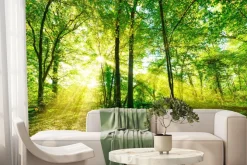 Fototapeta: Las skąpany w złotawym słońcu