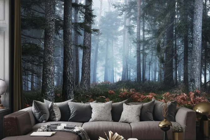 Fototapeta: Las sosnowy we mgle krajobraz