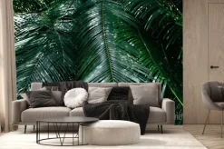 Fototapeta: Leaf beautiful in the tropical forest plant jungle - plam leaves