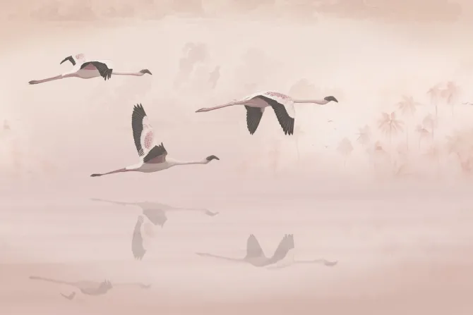 Fototapeta: Lecące ptaki na tle palm i chmur