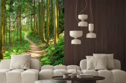 Fototapeta: Leśna ścieżka otoczona zielonymi drzewami