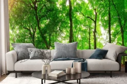 Fototapeta: Leśny krajobraz w słoneczny dzień