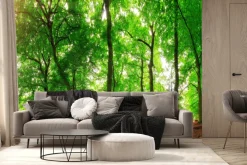 Fototapeta: Leśny krajobraz w słoneczny dzień