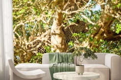 Fototapeta: Leopard ukrywanie na drzewie