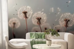 Fototapeta: Letnia łąka z dmuchawcami