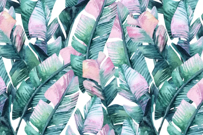 Fototapeta: Liście bananowca w stylu akwareli