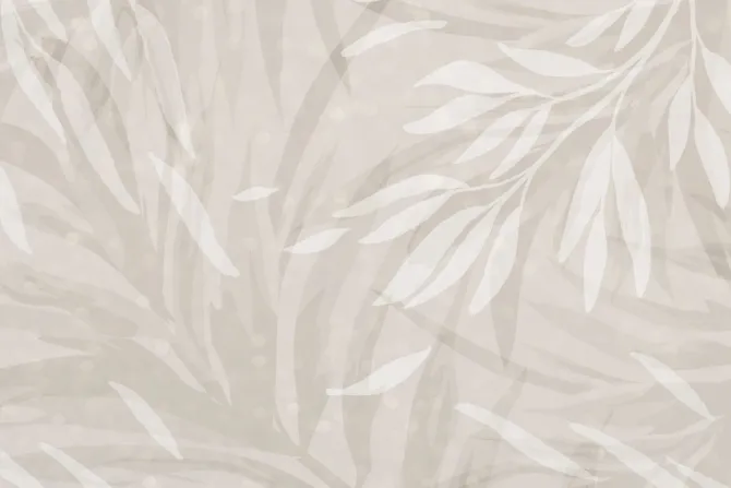 Fototapeta: Liście minimalistyczna kompozycja