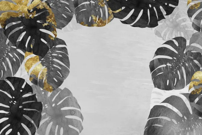 Fototapeta: Liście monstery z elementami złota