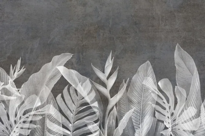 Fototapeta: Liście na imitacji betonu