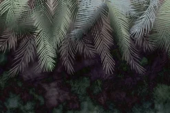 Fototapeta: Liście palm na ciemnym tle