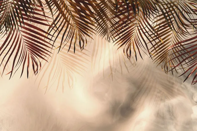 Fototapeta: Liście palmowe abstrakcyjne tło botaniczne