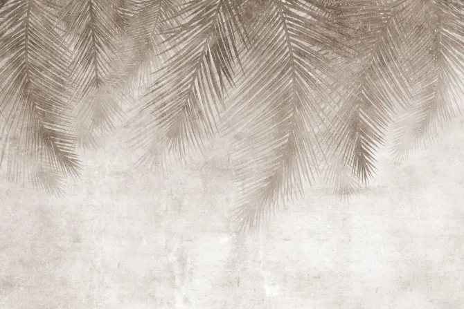 Fototapeta: Liście palmy zwisające z góry w odcieniach brązu