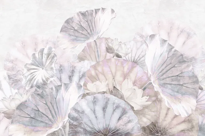 Fototapeta: Lilie wodne i liście w pastelowych barwach