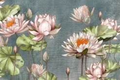 Fototapeta: Lilie wodne i zielone liście