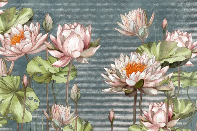 Fototapeta: Lilie wodne i zielone liście