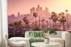 Fototapeta: Los angeles krajobraz o zachodzie słońca z palmami