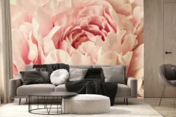 Fototapeta: Makro tłem kwiatu piwonia.