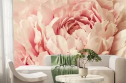 Fototapeta: Makro tłem kwiatu piwonia.