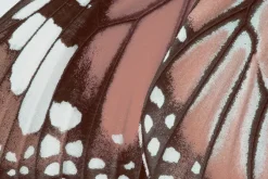 Fototapeta: Makro zbliżenie na teksturę skrzydła motyla szczegółowa fotografia