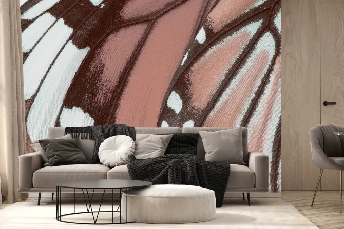 Fototapeta: Makro zbliżenie na teksturę skrzydła motyla szczegółowa fotografia