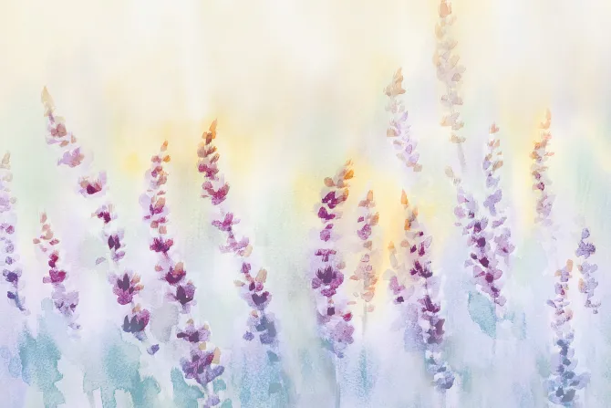 Fototapeta: Malowana pastelowa łąka z kwiatami lawendy