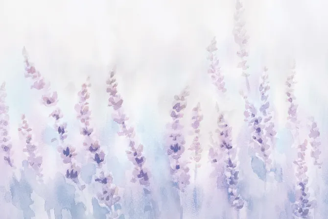 Fototapeta: Malowana pastelowa łąka z kwiatami lawendy