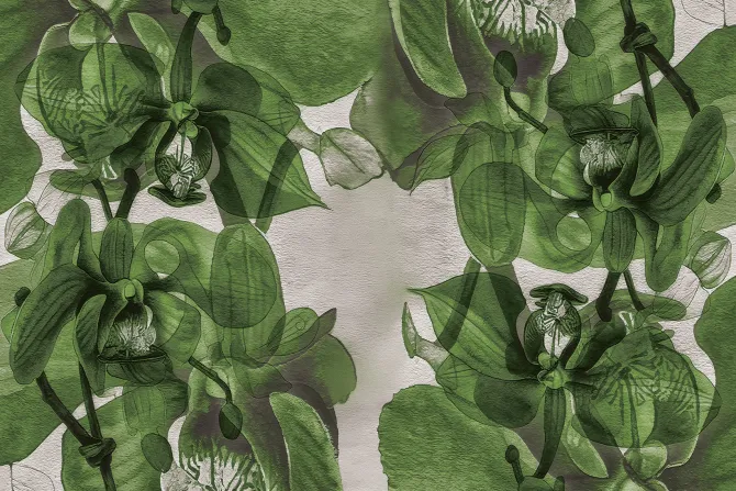 Fototapeta: Malowane przestrzenne orchidee na ścianie