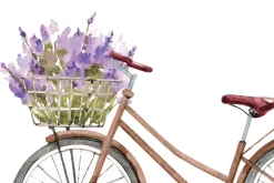 Fototapeta: Malowany rower z wrzosami w koszyku