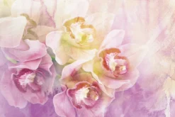 Fototapeta: Malowany storczyk w różowych odcieniach