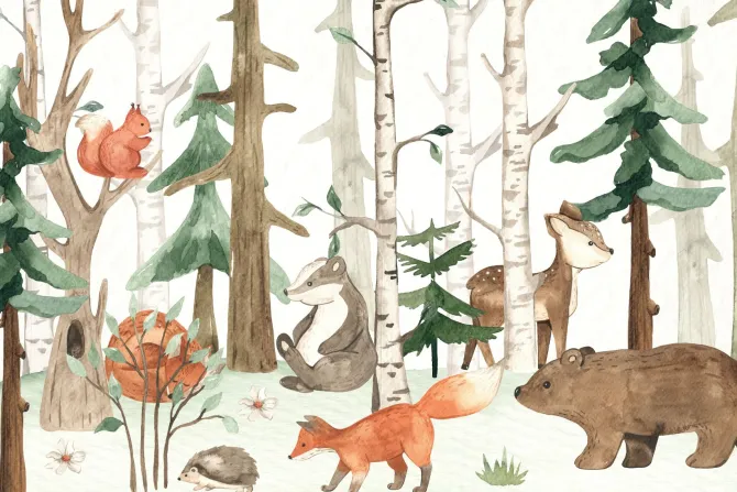 Fototapeta: Malowniczy krajobraz lasu z niedźwiedziem