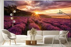 Fototapeta: Malowniczy krajobraz z lawendą o zachodzie słońca