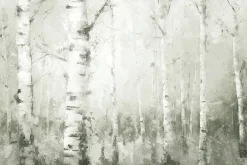 Fototapeta: Malowniczy krajobraz lasu brzozowego