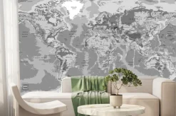 Fototapeta: Mapa świata szara